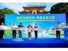 保护古树名木   传承生态文明